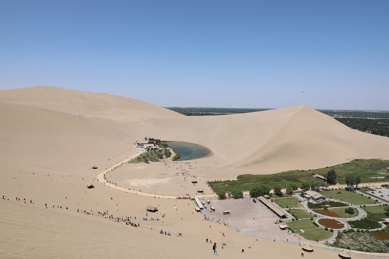 Nymph Oasis