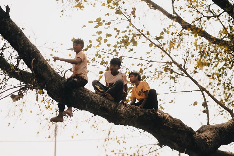 Phoenix Nest Treehouse